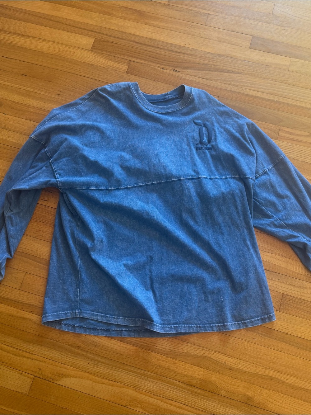 Disneyland spirit jersey